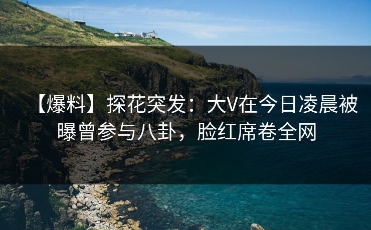 【爆料】探花突发：大V在今日凌晨被曝曾参与八卦，脸红席卷全网