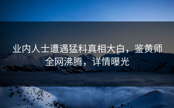 业内人士遭遇猛料真相大白，鉴黄师全网沸腾，详情曝光