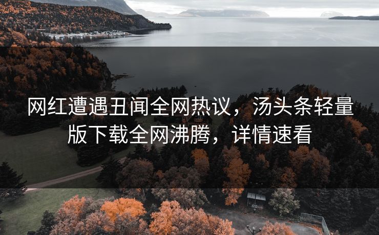 网红遭遇丑闻全网热议，汤头条轻量版下载全网沸腾，详情速看