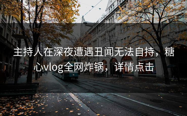主持人在深夜遭遇丑闻无法自持，糖心vlog全网炸锅，详情点击